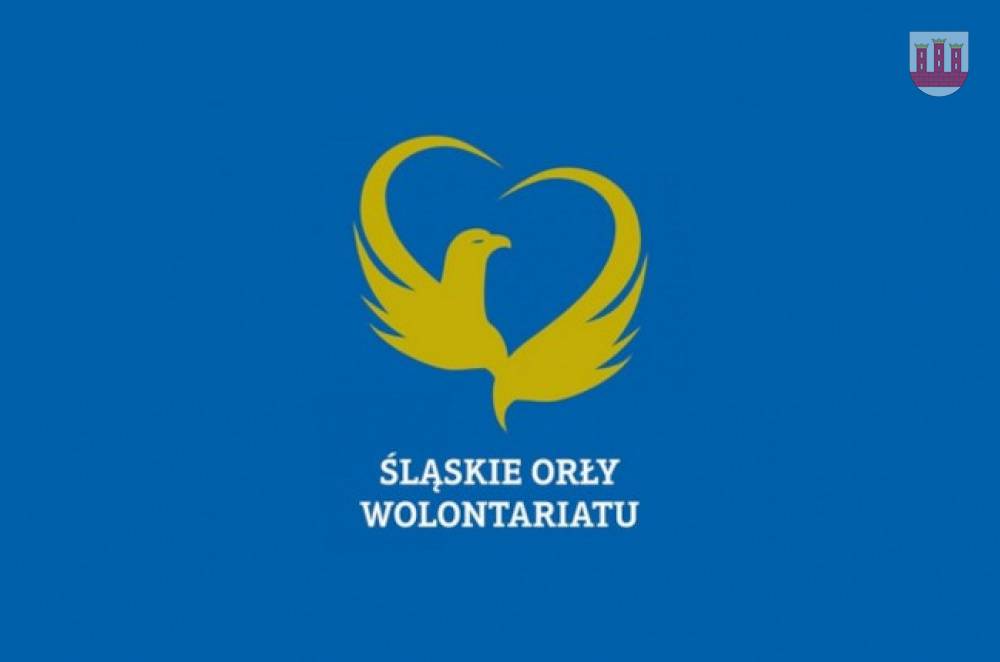 : Logotyp konkursu Śląskie Orły Wolontariatu.